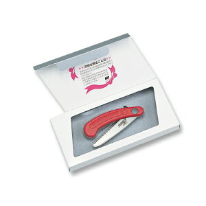 ԏ Mtg GIK-10 AXR[|[V ԏ Mtg RpNg  K[fjO | _ _ H 