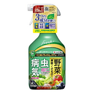 xjJVtbVXv[ 1000ml ZFw| E E Xv[ xjJ Q aC JV RKlV PV