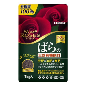 }C[Y΂̓VRL@엿 1kg ZFw| }C[Y ΂ VR L@ 엿