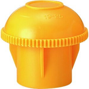 GhLbvD19`D25p(10) 386703 jbg ͂Er PǁEpi