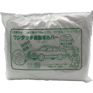 |ԃJo[ L 3.6×6.5m EARLN FKY FKY hpi hp{V[g