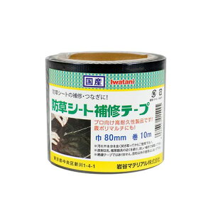 hV[gCe[v Pi 80mmx10m J}eA C Ce[v | _| G h _PO PPNX ʘH K[fjO