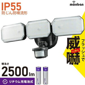 hƃZT[Cg 3 `E[dr 2500 lm LS-B313 monban ZT[Cg O h LED \[[ `ECI hƃCg ohm l ZT[ 3