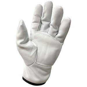 lHv }WbN  H907 M M ̂΂̂ Ǝ  