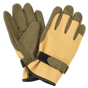 gQhɂ |p MTCY STS-M TCY:M ZteB-3 |pi ی ⏕ | rJo[