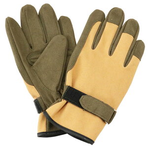 gQhɂ |p LTCY STS-L TCY:L ZteB-3 |pi ی ⏕ | rJo[