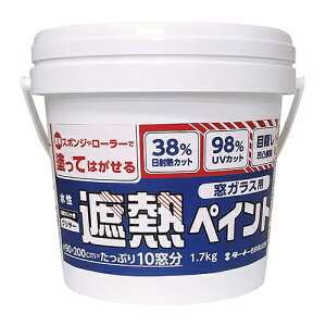 KXpՔMyCg  1.7kg WP017901 N[ 1.7kg ^[i[ h ̖ډB UVJbg TURNER