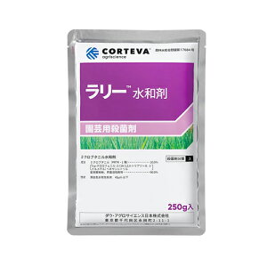 [a 250g Reo |pi K[fjO K[fjOpi _Ǝ _ _Ɨpi Eۍ