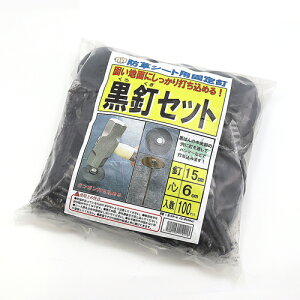 BZbg 100Zbg SNAO[ |pi K[fjO K[fjOpi _Ǝ _Ɨpi hV[g