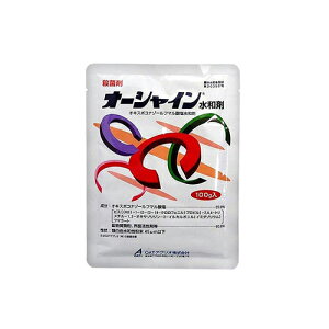 I[VCa 100g OATAOI |pi K[fjO K[fjOpi _Ǝ _ _Ɨpi Eۍ