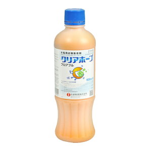 p NAz[vtAu 500mL Ȍ |pi K[fjO K[fjOpi _Ǝ _ _Ɨpi 