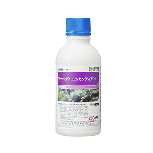 ][xbNGJeBASE 250ml Reo |pi K[fjO K[fjOpi _Ǝ _ _Ɨpi Eۍ