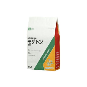 p Qg 1kg AOJlVE |pi K[fjO K[fjOpi _Ǝ _ _Ɨpi 