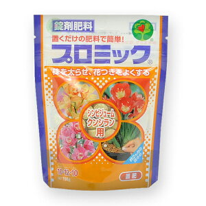 v~bNVrW[EVNp150g nC|lbNXWp |pi K[fjO K[fjOpi _Ǝ _Ɨpi 엿 엿 i