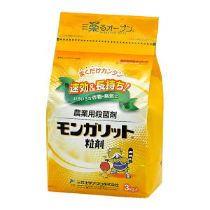 Kbg 3kg O䉻w |pi K[fjO K[fjOpi _Ǝ _ _Ɨpi Eۍ