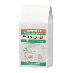 p XbV 3kg O䉻w |pi K[fjO K[fjOpi _Ǝ _ _Ɨpi 