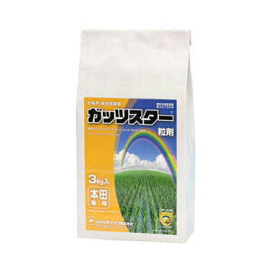 KbcX^[ 3kg O䉻w |pi K[fjO K[fjOpi _Ǝ _ _Ɨpi E