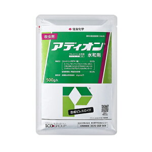 AfBIa 500g ZFw |pi K[fjO K[fjOpi _Ǝ _ _Ɨpi E