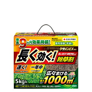 �N�T�m��EX���� �Z�F���w���| ���|�p�i �K�[�f�j���O �K�[�f�j���O�p�i �_�Ǝ��� �_�� �_�Ɨp�i ������