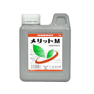 bg M 1kg Ȍ |pi K[fjO K[fjOpi _Ǝ _Ɨpi 엿 엿 i