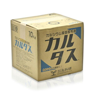 J^X 10kg Ȍ |pi K[fjO K[fjOpi _Ǝ t̔엿 |py 엿