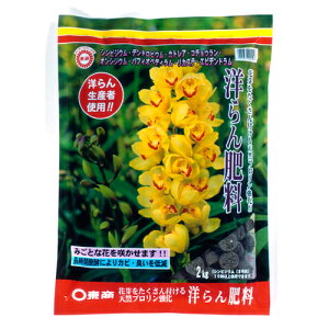 m엿 2kg  |pi K[fjO K[fjOpi _Ǝ _Ɨpi L@엿 엿 L@