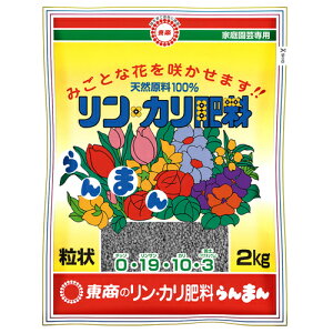 ܂  2kg  |pi K[fjO K[fjOpi _Ǝ _Ɨpi L@엿 엿 L@