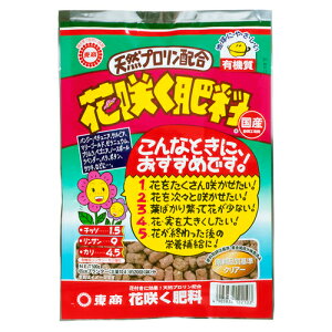 ԍ炭엿 500g  |pi K[fjO K[fjOpi _Ǝ _Ɨpi L@엿 엿 L@