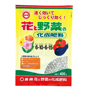 ԂƖ؂̉엿 400g  |pi K[fjO K[fjOpi _Ǝ _Ɨpi 엿 엿 i