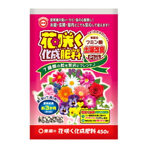 ԍ炭엿 450g  |pi K[fjO K[fjOpi _Ǝ _Ɨpi 엿 엿 i