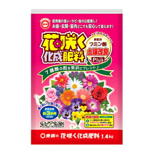 ԍ炭엿 1.4kg  |pi K[fjO K[fjOpi _Ǝ _Ɨpi 엿 엿 i