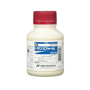 gXtH[tAu 250ml Yw |pi K[fjO K[fjOpi _Ǝ _ _Ɨpi E