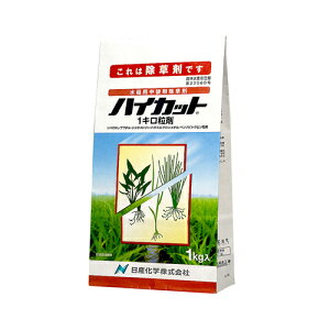 p nCJbg1L 1kg Yw |pi K[fjO K[fjOpi _Ǝ _ _Ɨpi 