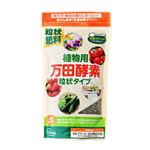 Apcyf^Cv 300g cy |pi K[fjO K[fjOpi _Ǝ t̔엿 |py 엿