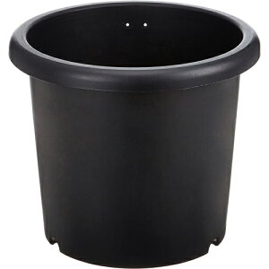 e ubN 8 ACJ |pi K[fjO K[fjOpi  v^[ e e