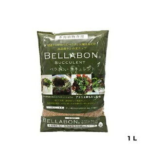 ベラボン サキュレント 1L フジック 園芸用品 ガーデニング ガーデニング用品 農業資材 農業用品 インテリア 鉢 用土