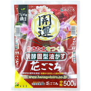 Ԃ  500g Ԃ |pi K[fjO K[fjOpi _Ǝ _Ɨpi L@엿 엿 L@