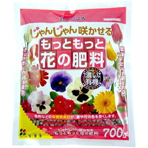 ƂƉԂ̔엿 700g Ԃ |pi K[fjO K[fjOpi _Ǝ _Ɨpi L@엿 엿 L@