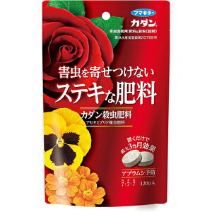 J_E엿 120g t}L[ |pi K[fjO K[fjOpi _Ǝ _ _Ɨpi 