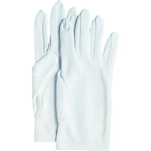 550 iCWE M 550M ӂ R