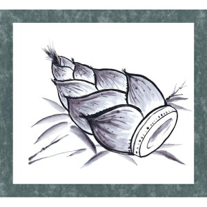 nlZbg W䎆t 12659 A[ebN