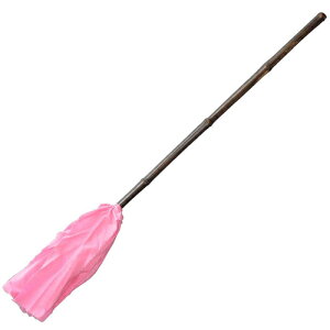 zȂ͂ 52012 c n^L ͂ ق菜 | |pi