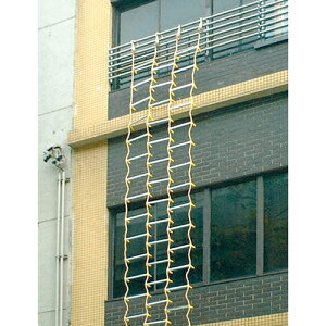 A~3͂ 12037 5m c q ͂ ͂ S p hЗpi Q