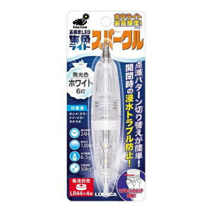 CgXp[N C20282 zCg ~J ނ ނ ނ AEghA d| W Cg