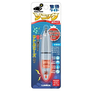Cg \jbN C20308 bh&bh M ~J ނ ނ ނ AEghA d| W Cg Cg