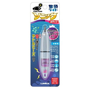 Cg \jbN C20309 UV&sN M ~J ނ ނ ނ AEghA d| W Cg Cg