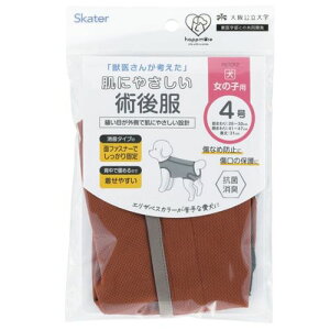 p㕞 ̎qp uE 4 uE  ߗ