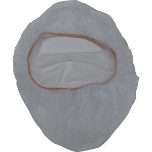 ĝăV[YJo[ (4) 861 rjX^[ ی앞Eh앞 V[YJo[