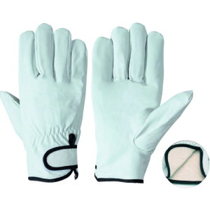 ؊v PL719 LL nt PL719LL V Ǝ v