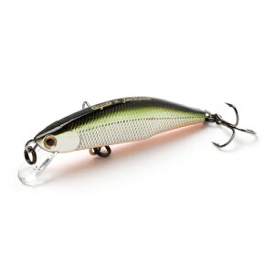 eI[ 52 TSD elV[Vbh Jackson k kނ kA[ k~m[ lCeBugEg gEg ~m[